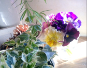 [0018]季節のお花