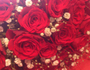 [0020]定番！バラとカスミソウの花束