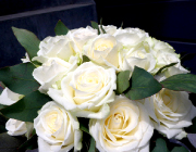[0024]白バラの花束