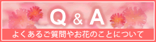バナー：Q&A